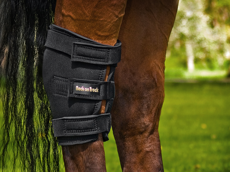 Protège-jarret, droite