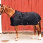 Chemise Classic Chemise Classic