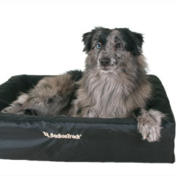 Hondenbedovertrek PP