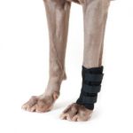 Protectores para patas